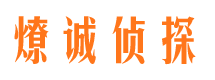 平鲁出轨调查